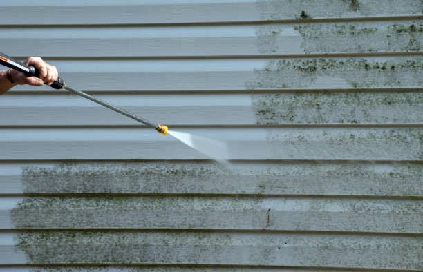 Mold Removal Process in Sheldon, TX