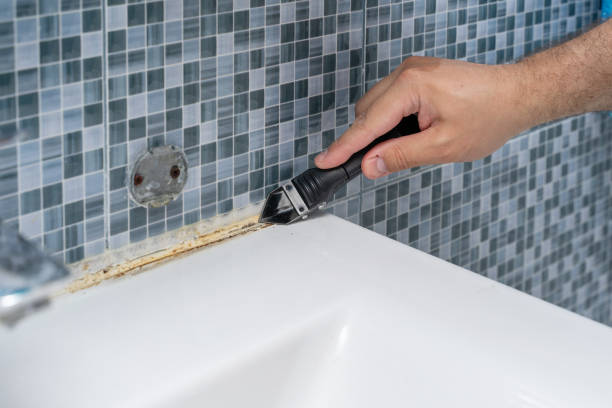 Best Mold Remediation  in Sheldon, TX