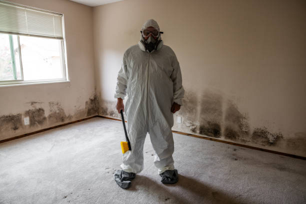 Best Crawl Space Mold Removal  in Sheldon, TX